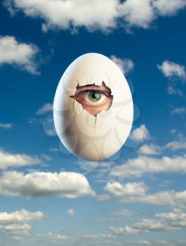 Close-up broken white egg with eye inside