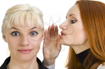 Woman's gossips. One woman talking to other