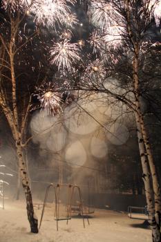 Night fireworks in winter birchs