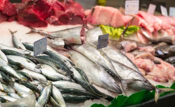 Assorted fish on ice in seafood market