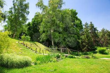Rural landscape at summer sunny day