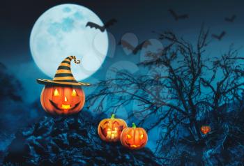 Helloween pumpkins with candles in the night forest