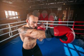 Boxer in red gloves with tattoo on a shoulder on the training. Boxing ring on the background. Boxing power.