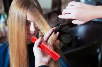 Hairdressing with scissors and comb to young female with long hair.