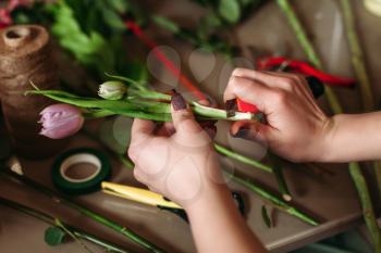 Female hands create flowers decoration above table with florist tools.