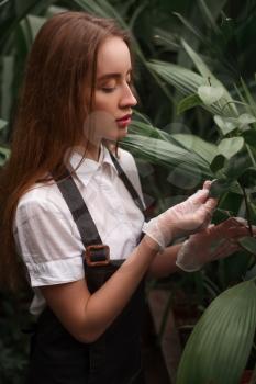Young female gardener work in botanical garden. Green housegarden on background.
