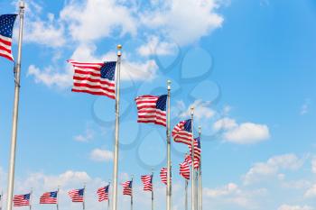 Circular placed row of American flags blow in the wind. Washington DC District of Columbia
