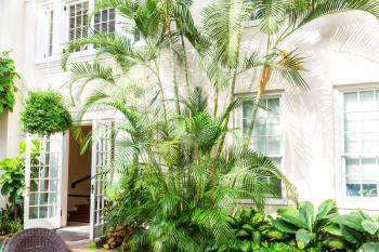 Hotel facade with palms and green plants.  