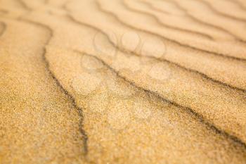 Sandy waves, beach on Ceylon coast. Sri Lanka sands, indian ocean