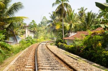 Palm forest across railway road on Sri Lanka, old village on background. Ceylon tropical landscape