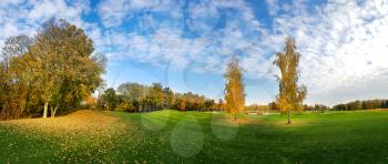 Autumn park, trees with colorful foliage, panorama. Yellow forest, nature landscape in sunny day, panoramic view