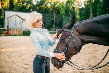 Young woman combing the mane of the horse. Equestrian sport, attractive lady and beautiful stallion