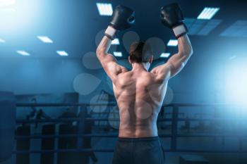 Boxer in gloves hands up on the ring, back view. Boxing workout, mens sport