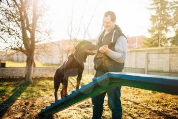 Cynologist trains a dog to keep balance on playground. Owner with his obedient pet outdoor, bloodhound domestic animal