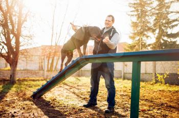Cynologist training sniffing dog on playground. Owner with his obedient pet outdoor, bloodhound domestic animal