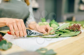 Female florist with pruner in hands makes flower bouquet. Floral business, decoration tools