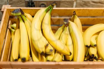 Box with ripe bananas on stand in food store, nobody. Fresh fruits in market