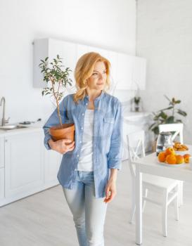 Young woman holds a flower in a pot on the kitchen with snow-white interior. Female person preparing breakfast at home in the morning, healthy nutrition and lifestyle