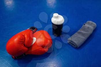 Pair of red boxing gloves, workout pads and equipment on ring canvas, top view, nobody. Box or kickboxing sport concept, training tools, fighting martial arts