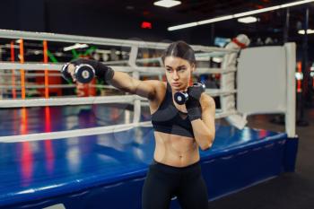 Woman doing exercise with dumbbells, box training, boxing ring on background. Female boxer in gym, girl kickboxer in sport club, kickboxing workout