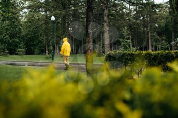 Alone man walking in summer park in rainy day. Male person in rain cape and rubber boots, wet weather in alley, loneliness