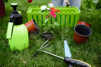 Gardening tools for plants care, closeup view, nobody. Gardener or florist equipment. Watering spray, hoe and pruners on the grass near the flower bed and flowerpots, summer hobby, garden