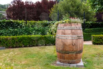 Wooden barrel between clipped bushes, summer park in Europe. Professional gardening, european green landscape, garden plants decoration, cozy lawn
