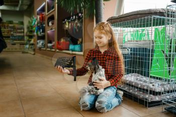Little girl choosing muzzle for her puppy, pet store. Child buying equipment in petshop, accessories for domestic animals