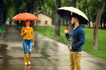 Love couple with umbrellas, romantic date in summer park in rainy day. Man with red rose waiting for his woman on walking path, wet weather in alley