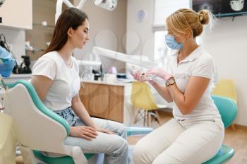Female dentist and patient at appointment in clinic, stomatology. Orthodontist in uniform and customer, medical worker, medicine and health, professional teeth care, dentistry