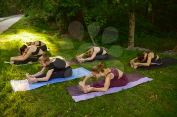 Slim women doing stretching exercise on mats, group yoga training on the grass in park. Meditation, class on workout outdoors, relaxation practice