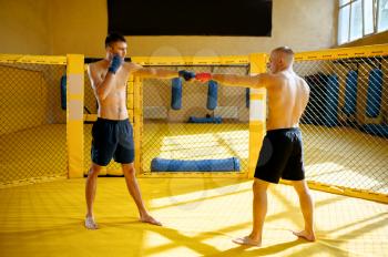 Male MMA fighters hands with red and blue bandages, cage and gym interior on background. Muscular men on ring, combat workout, martial arts concept