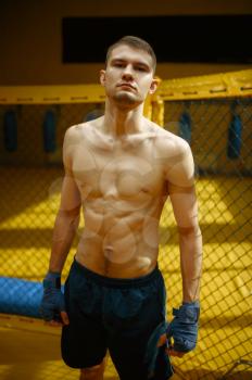 Male MMA fighter standing in a cage in gym. Muscular man on ring, combat workout, martial arts training