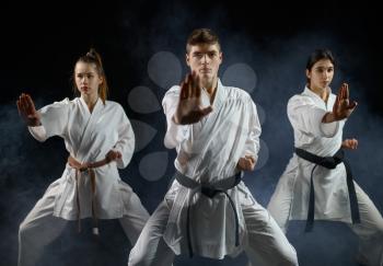 Female karate fighters, training with master in white kimono, dark smoky background. Karatekas on workout, martial arts, fighting competition