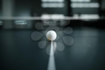 Ping pong ball on white line closeup, nobody, table tennis concept. Table-tennis indoors, sport game with racket, active healthy lifestyle, pingpong