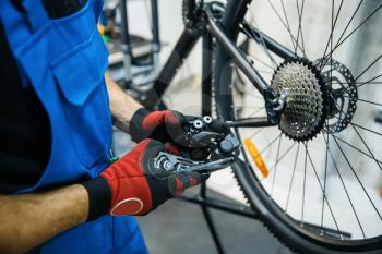 Bicycle repair workshop, man sets the speed switch. Mechanic in uniform fix problems with cycle, professional bike repairing service