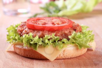 Closeup of a Cheeseburger - ready to eat