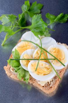 Slice of whole wheat bread with boiled egg 