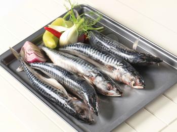 Fresh mackerel and vegetables on baking tin