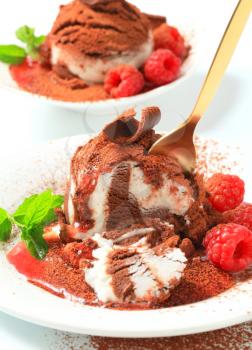 Vanilla chocolate ice cream with raspberries sprinkled with cocoa powder