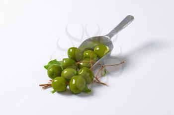 Fresh green olives on metal scoop