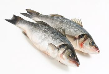 Two fresh sea bass fish on white background