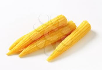Pickled baby corn cobs - studio shot