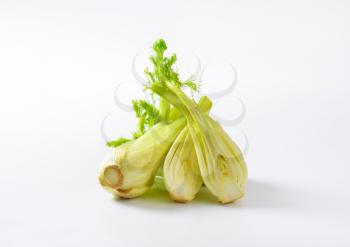 fennel bulbs on white background