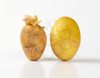 young and old sprouted potatoes on white background
