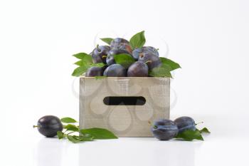 fresh plums in wooden box