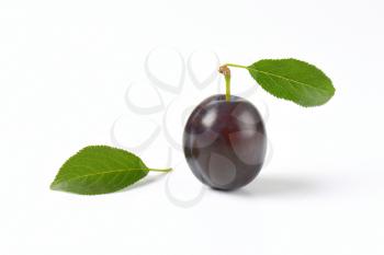 ripe plum with leaves on white background