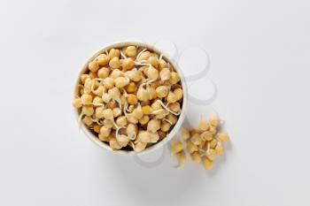 Bowl of sprouted chick peas