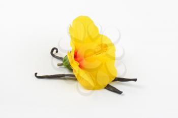 hibiscus flower and vanilla pods on white background
