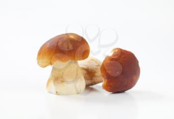 fresh edible bolete mushrooms on white background